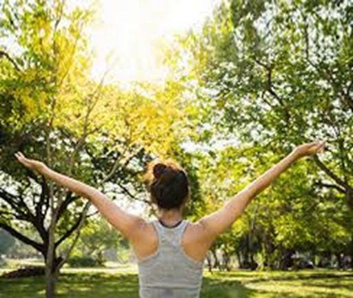 General Wellness